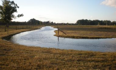 SE VENDE  CASA FRENTE DE 4 AMBIENTES SOBRE LOTE DE 2000METROS EN LOBOS