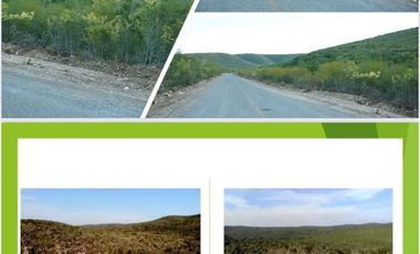 Terreno en venta San Carlos Tamaulipas