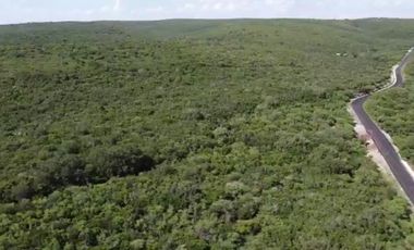 Terreno en venta San Carlos Tamaulipas