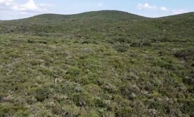 Terreno en venta San Carlos Tamaulipas