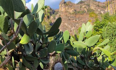 Vendo preciosa propiedad con vista panorámica a las montañas en Tepoztlán Morelo