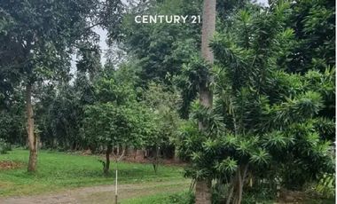 Dijual Kavling Luas Strategis Di Dekat Bintaro