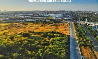 Encuentra el terreno perfecto para tu proyecto en avenida Cristóbal Colón en Mazatlán.