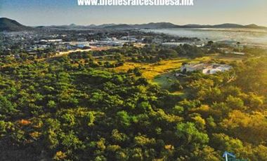 Encuentra el terreno perfecto para tu proyecto en avenida Cristóbal Colón en Mazatlán.