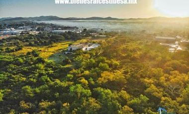 Encuentra el terreno perfecto para tu proyecto en avenida Cristóbal Colón en Mazatlán.
