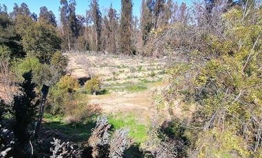 Parcela en venta Quilpué, Sector Retuca, Camino Lo Orozco