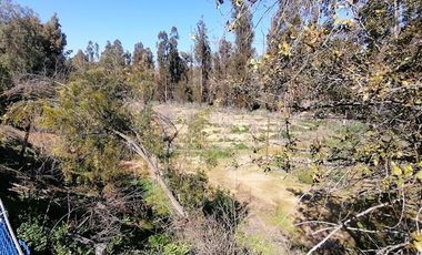 Parcela en venta Quilpué, Sector Retuca, Camino Lo Orozco