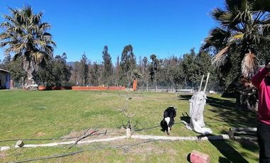 Parcela en venta Quilpué, Sector Retuca, Camino Lo Orozco