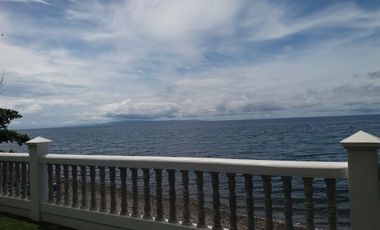 BIG PRICE REDUCED! LUXURIOUS BEACH HOME FRONTING APO ISLAND!!