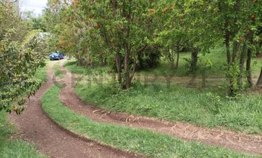 VENTA DE PARCELA CON 3 CABAÑAS A 5 KM DEL CENTRO DE PUCON EN PASAJE ARRIAGADA