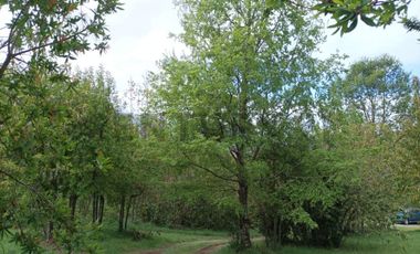 VENTA DE PARCELA CON 3 CABAÑAS A 5 KM DEL CENTRO DE PUCON EN PASAJE ARRIAGADA