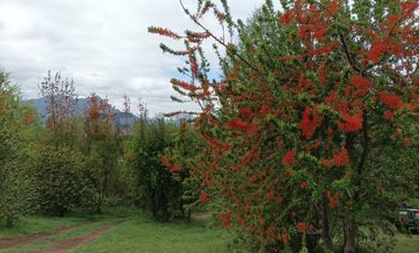 VENTA DE PARCELA CON 3 CABAÑAS A 5 KM DEL CENTRO DE PUCON EN PASAJE ARRIAGADA