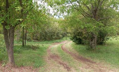 VENTA DE PARCELA CON 3 CABAÑAS A 5 KM DEL CENTRO DE PUCON EN PASAJE ARRIAGADA