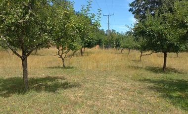Agrícola en Venta en COD35635 Parcela Orilla camino Asfalto sobre ruta Temuco a Cunco