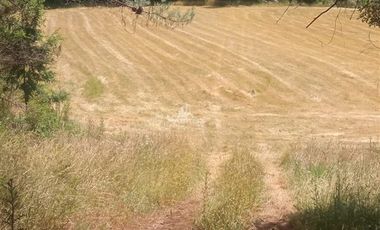 Agrícola en Venta en COD35635 Parcela Orilla camino Asfalto sobre ruta Temuco a Cunco
