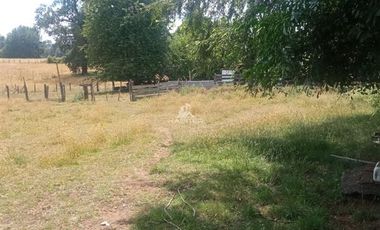 Agrícola en Venta en COD35635 Parcela Orilla camino Asfalto sobre ruta Temuco a Cunco
