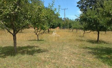 Agrícola en Venta en COD35635 Parcela Orilla camino Asfalto sobre ruta Temuco a Cunco