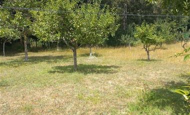 Agrícola en Venta en COD35635 Parcela Orilla camino Asfalto sobre ruta Temuco a Cunco