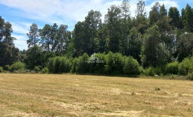 Agrícola en Venta en COD35635 Parcela Orilla camino Asfalto sobre ruta Temuco a Cunco