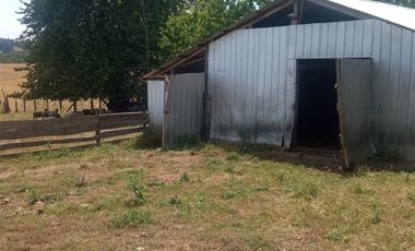 Agrícola en Venta en COD35635 Parcela Orilla camino Asfalto sobre ruta Temuco a Cunco