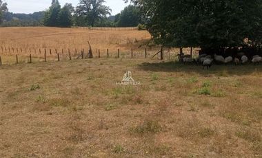 Agrícola en Venta en COD35635 Parcela Orilla camino Asfalto sobre ruta Temuco a Cunco