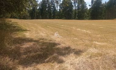 Agrícola en Venta en COD35635 Parcela Orilla camino Asfalto sobre ruta Temuco a Cunco