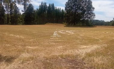 Agrícola en Venta en COD35635 Parcela Orilla camino Asfalto sobre ruta Temuco a Cunco