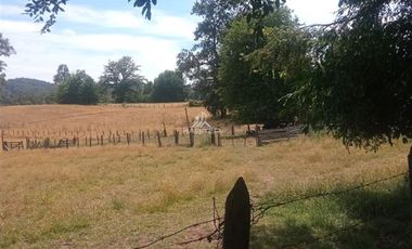 Agrícola en Venta en COD35635 Parcela Orilla camino Asfalto sobre ruta Temuco a Cunco