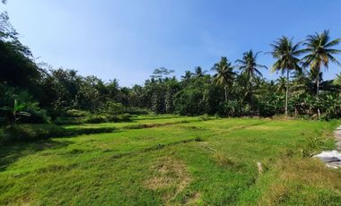 Kapling 6 menit RS Nyi Ageng Serang Dibawah 100jt ,Siteplan Proposional