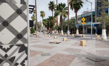 Terreno en Renta en Paseo Morelos Torreón