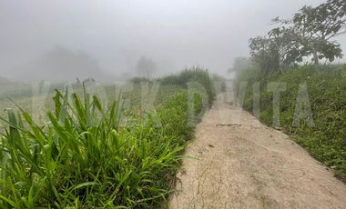 Tanah kebun candi kuning bedugul dkt the blooms garden the silas