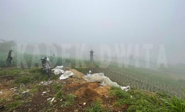 Tanah kebun candi kuning bedugul dkt the blooms garden the silas