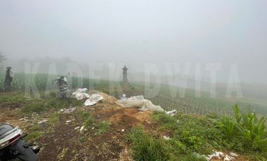 Tanah kebun candi kuning bedugul dkt the blooms garden the silas