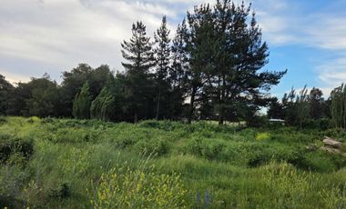 VENTA PARCELA CON CASA Y PARCELA INDEPENDIENTE, CAMINO A CATO