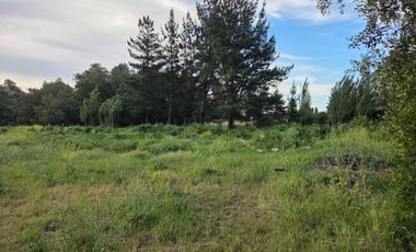 VENTA PARCELA CON CASA Y PARCELA INDEPENDIENTE, CAMINO A CATO