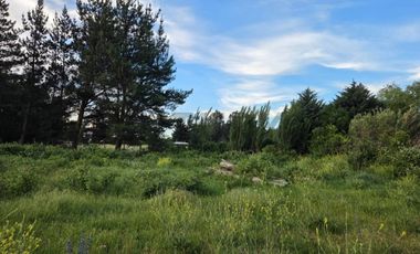 VENTA PARCELA CON CASA Y PARCELA INDEPENDIENTE, CAMINO A CATO