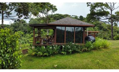 Se vende finca en Llano Carti a 15 minutos de San Blas (JA)
