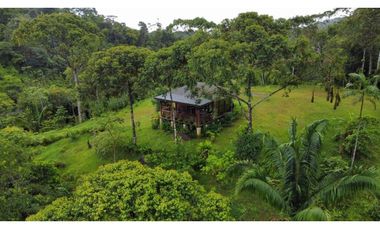 Se vende finca en Llano Carti a 15 minutos de San Blas (JA)