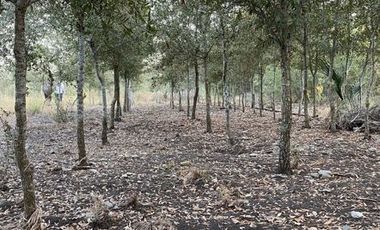 QUINTA EN VENTA CADEREYTA JIMENEZ