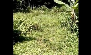 Cheap land for sale 18 hectares in Cihampelas West Bandung