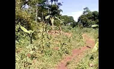 Cheap land for sale 18 hectares in Cihampelas West Bandung