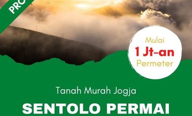 DI SENTOLO PEKARANGAN 1 JUTAAN PROFIT 30%