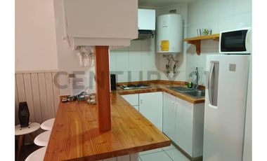 Cómodo y acogedor depto 1D 1B en venta Camino al Volcán
