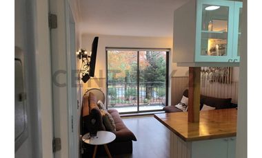 Cómodo y acogedor depto 1D 1B en venta Camino al Volcán