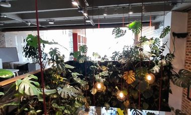 OFICINA EN VENTA EN PALERMO/ MANIZALES