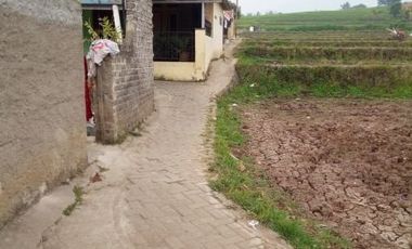 350 Tumbak Sawah Masuk Gang Motor di Cisalak, Kertajaya, Padalarang, Bandung Barat