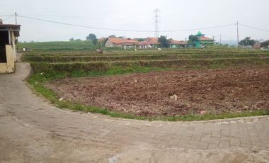 350 Tumbak Sawah Masuk Gang Motor di Cisalak, Kertajaya, Padalarang, Bandung Barat