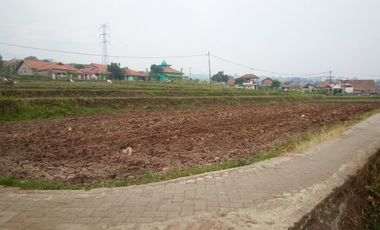 350 Tumbak Sawah Masuk Gang Motor di Cisalak, Kertajaya, Padalarang, Bandung Barat