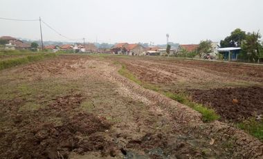350 Tumbak Sawah Masuk Gang Motor di Cisalak, Kertajaya, Padalarang, Bandung Barat