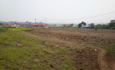 350 Tumbak Sawah Masuk Gang Motor di Cisalak, Kertajaya, Padalarang, Bandung Barat